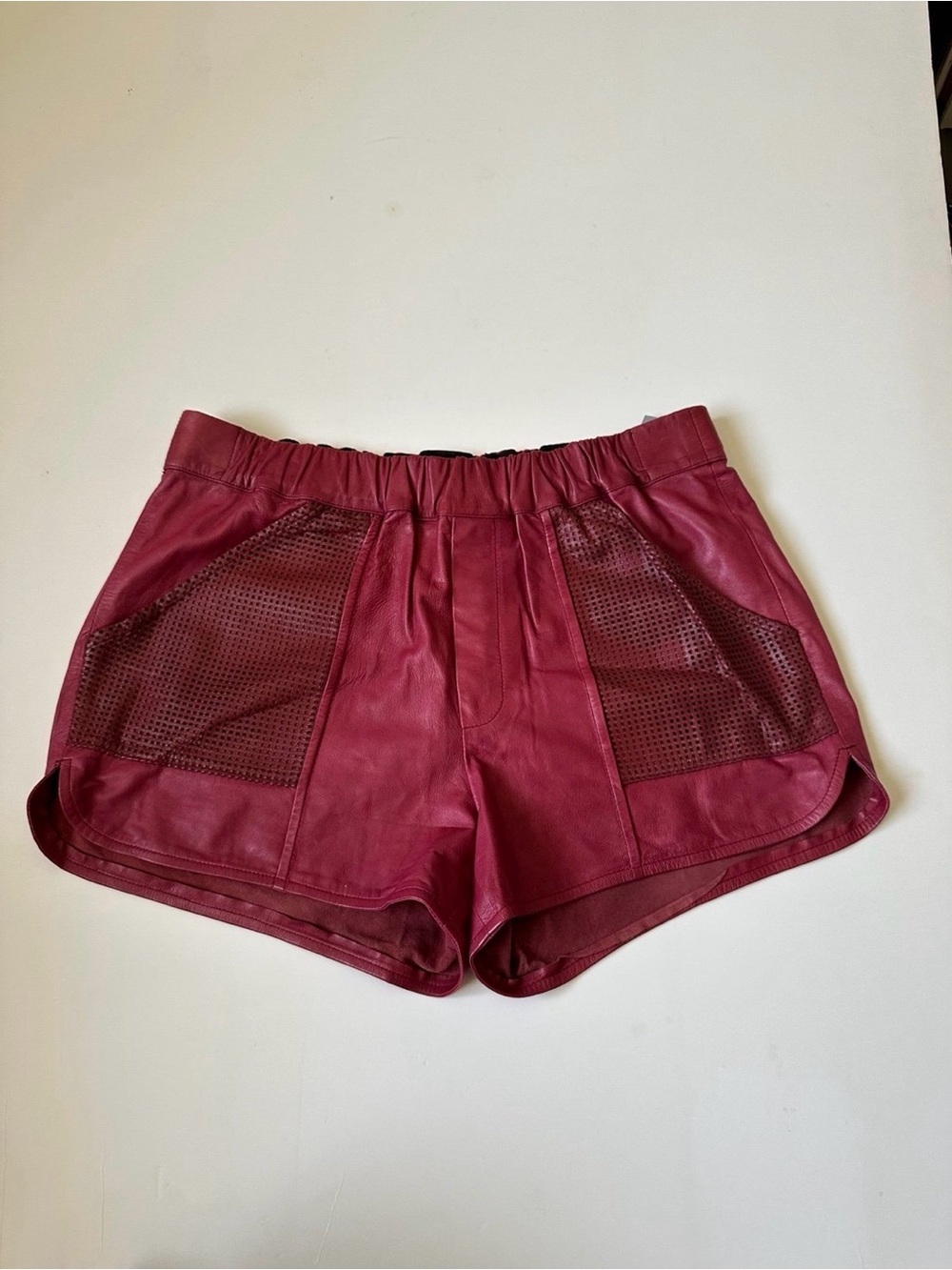 A.L.C. Lamb Leather athletic 
Shorts~S